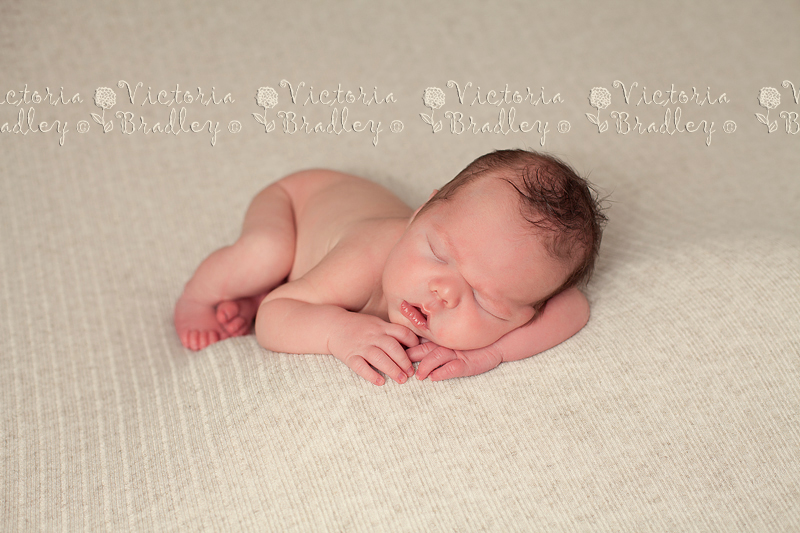 Newborn Photographer Nottingham