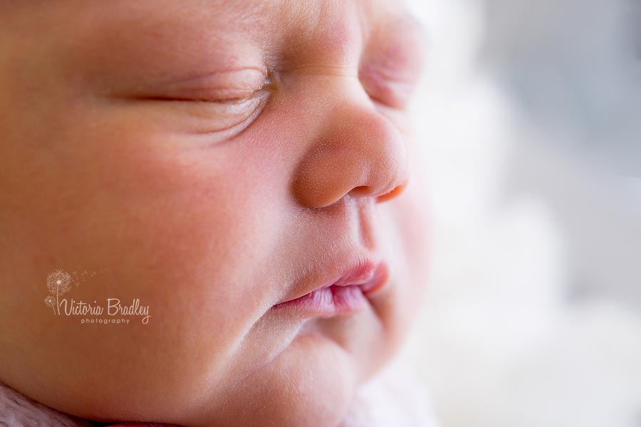 close up detail shot of baby nose