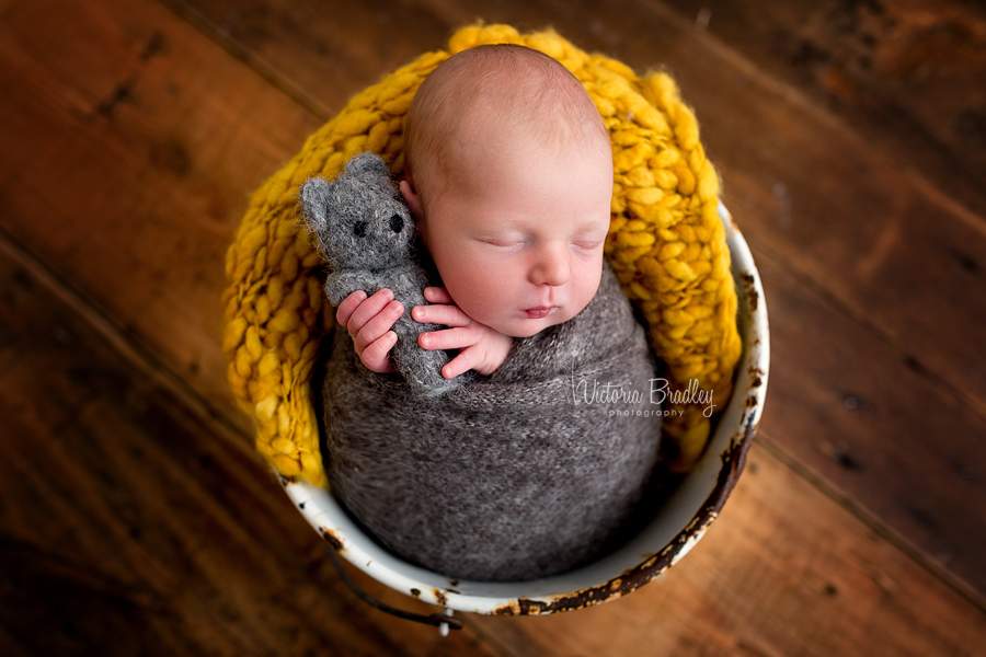 newborn baby boy in a white metal bucket with mustard stuffer, wrapped in a grey wrap holding a little grey knitted teddy bear