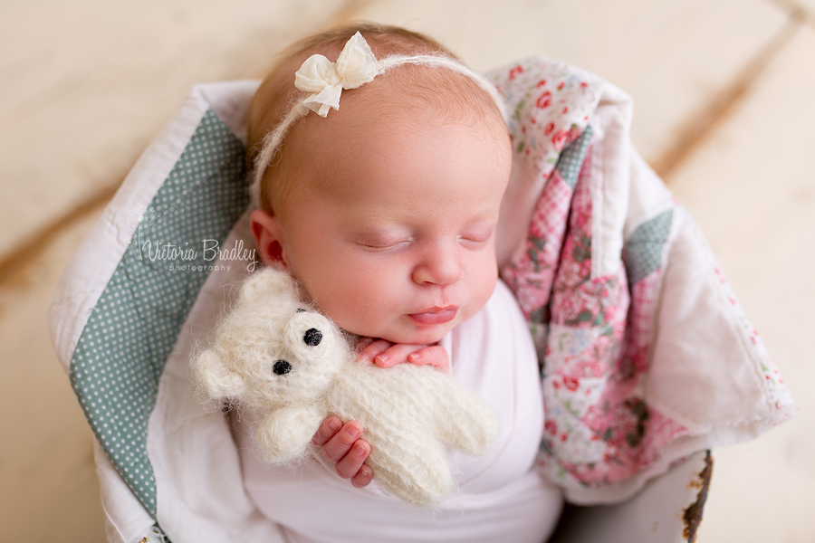 newborn holding small teddy wearing a bow tie back