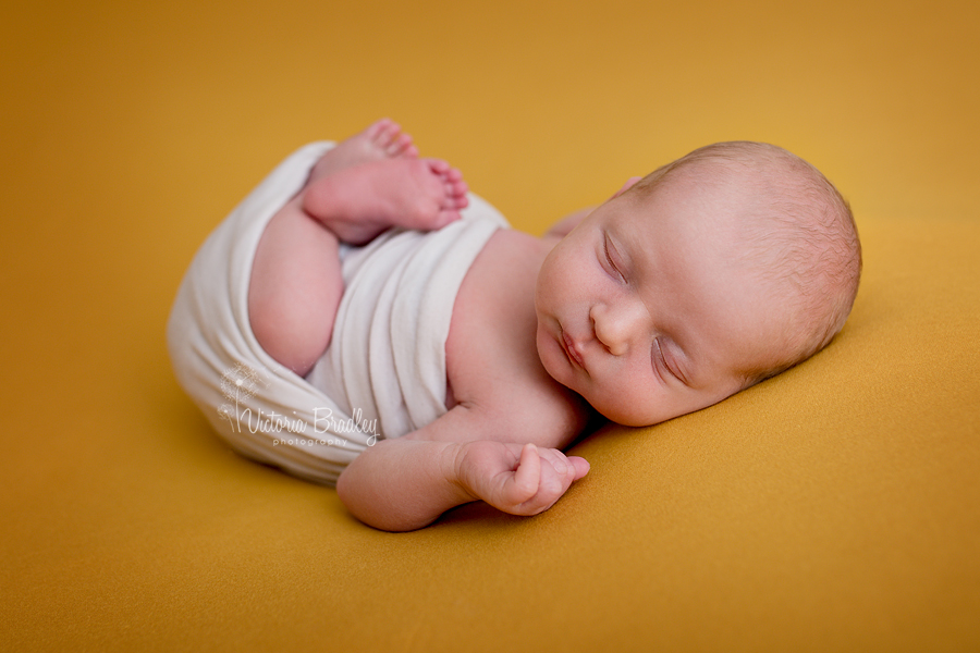 egg wrap newborn baby boy on mustard backdrop