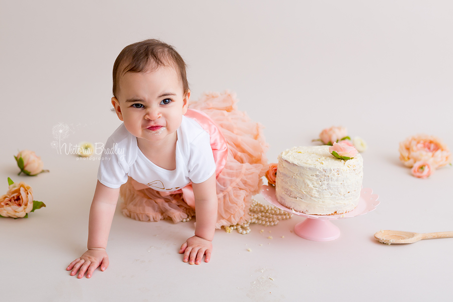 crawling one year old baby cake smash photography session