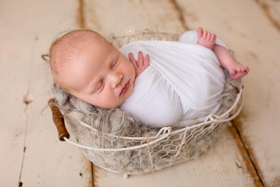 wrapped newborn baby boy in white wrap in egg basket with grey basket stuffer