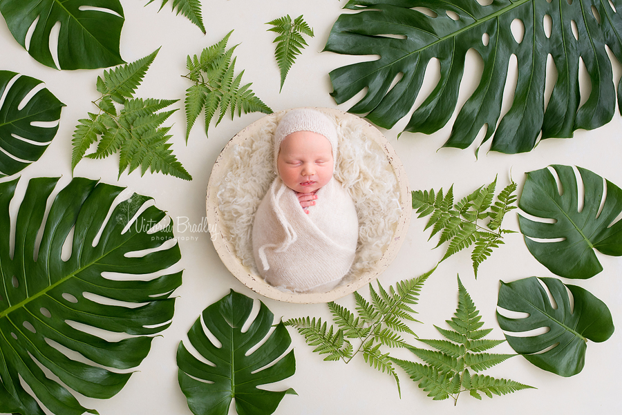 baby bot with green leaves in cream knitted wrap in a wooden bowl