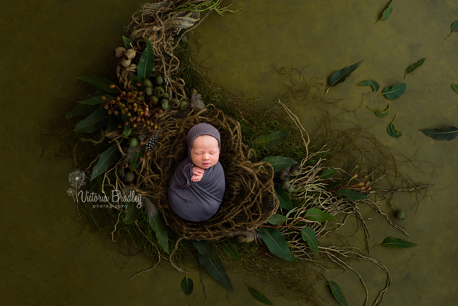 wrapped newborn baby, gamnuts, leaves, rustic