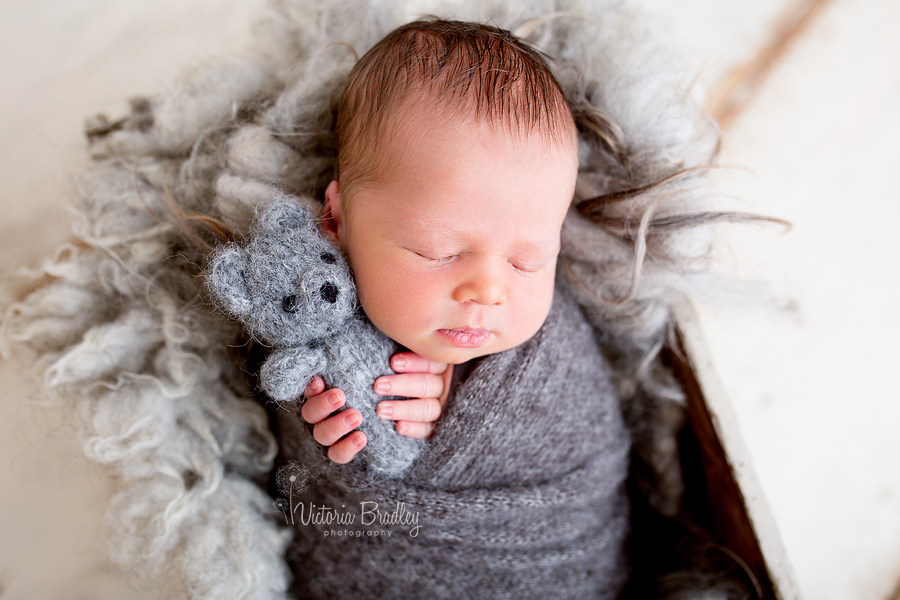 wrapped newborn baby with tiny grey bear