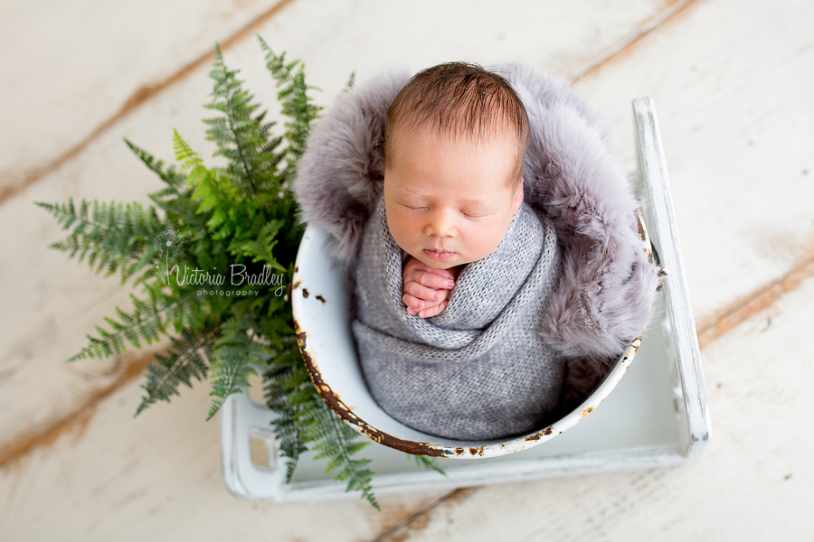 wrapped newborn in a white bucket with fern