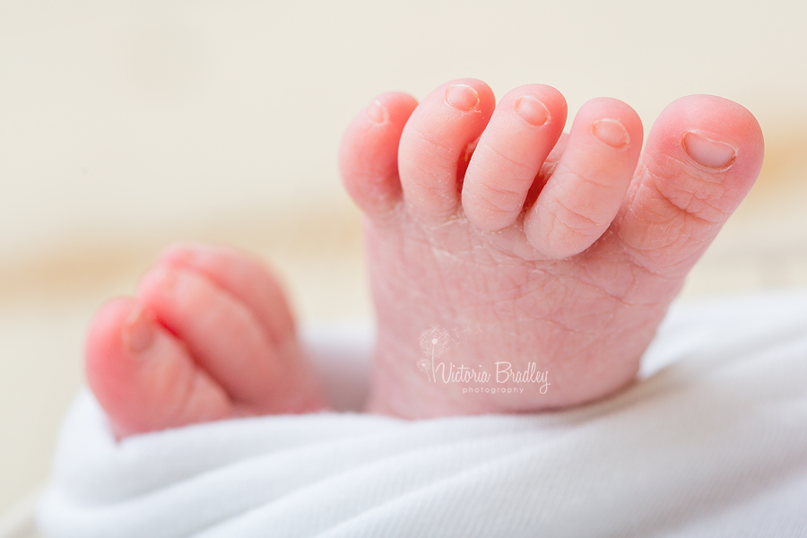macro shot of newborn toes