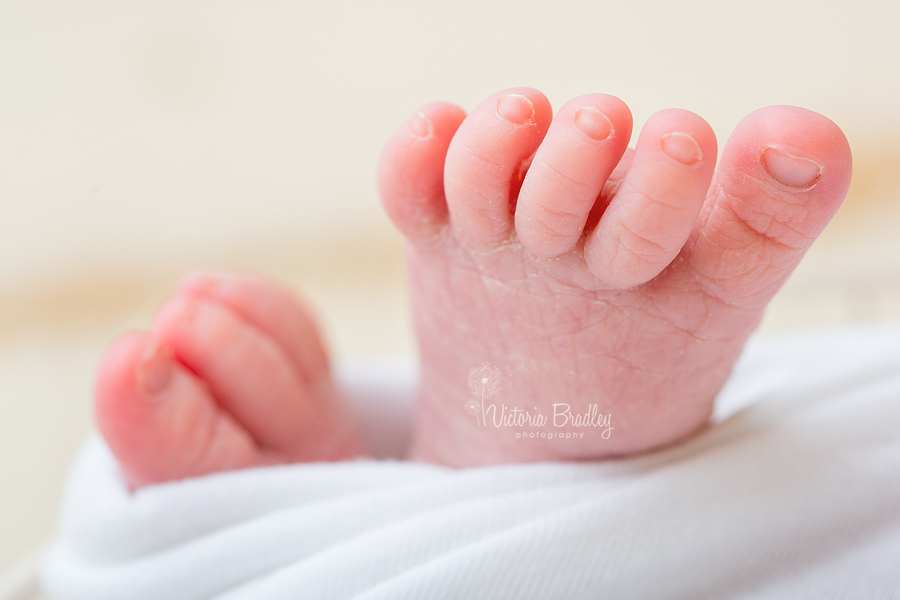 macro shot of newborn toes