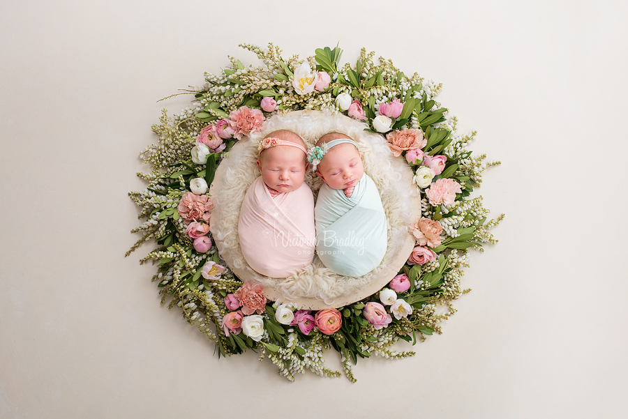 cousin newborns in flower basket