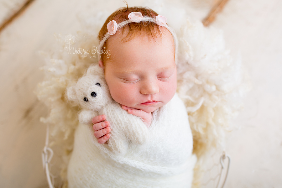 newborn photography wrapped baby girl with white bear, white knitted wrap on a cream basket stuffer