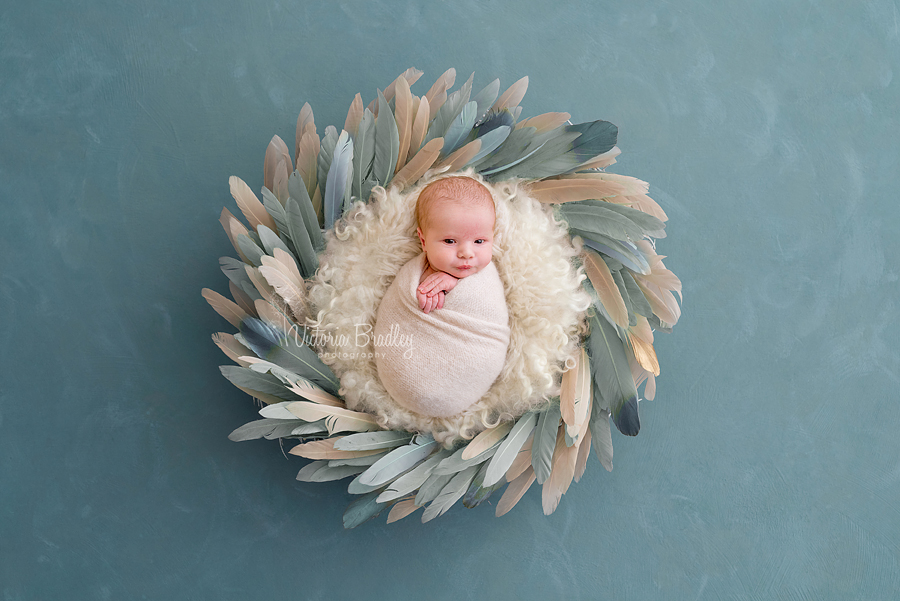 newborn is duck egg feather bowl