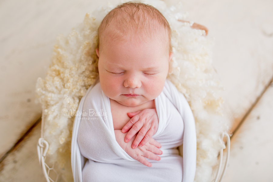 newborn photography image of baby girl in whites and cream