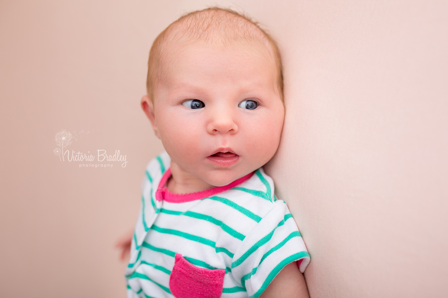 5 week old newborn baby girl photography