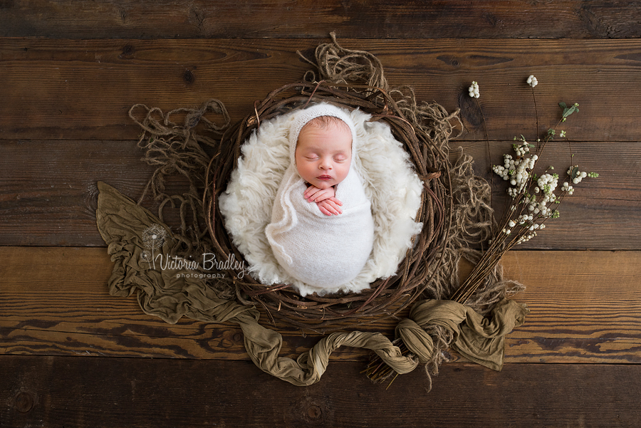 newborn baby boy is rustic twig basket set up on dark wood floor
