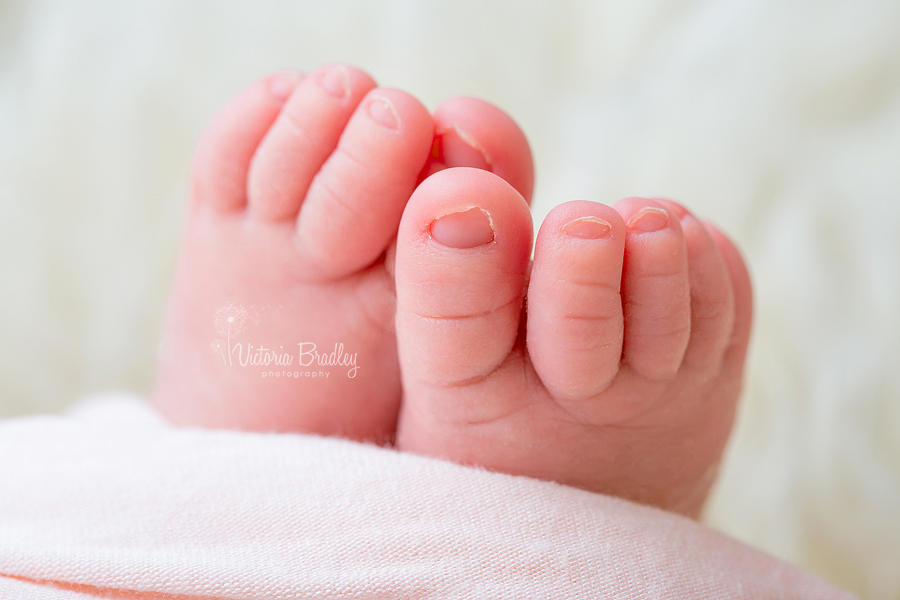 macros shot of newborn baby piggy toes