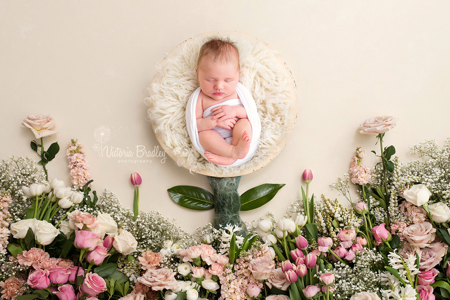 newborn baby girl in floral set-up photography