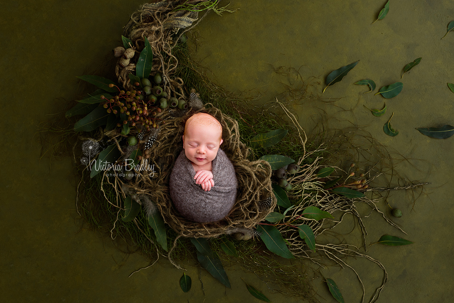 newborn baby boy photography session on green leaves and twigs