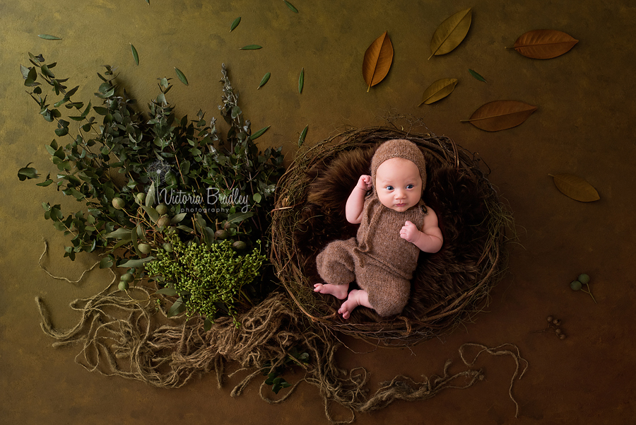 baby in rustic basket with leaves and twigs