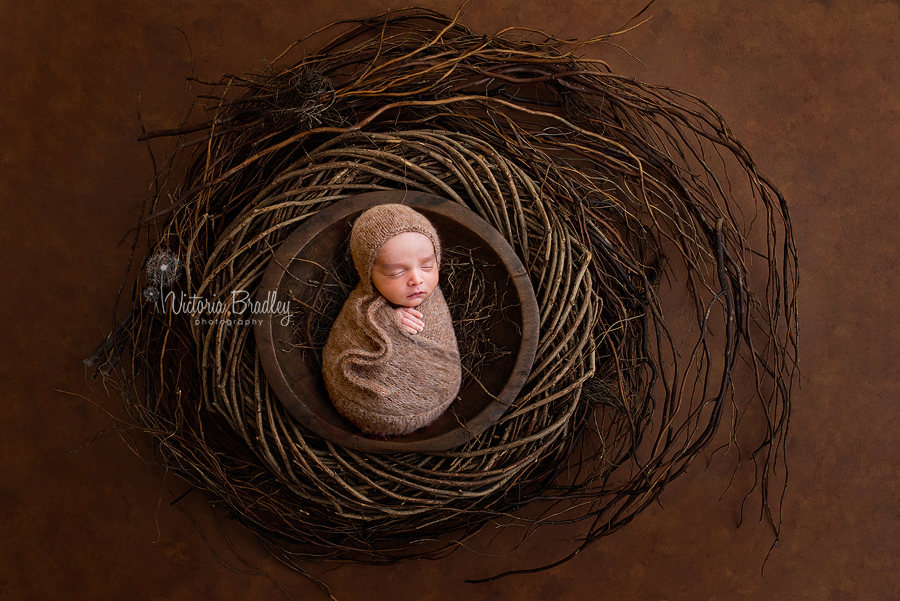 wrapped newborn boy in twig basket