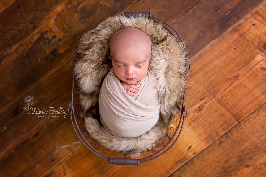 newborn wrapped mini session photography