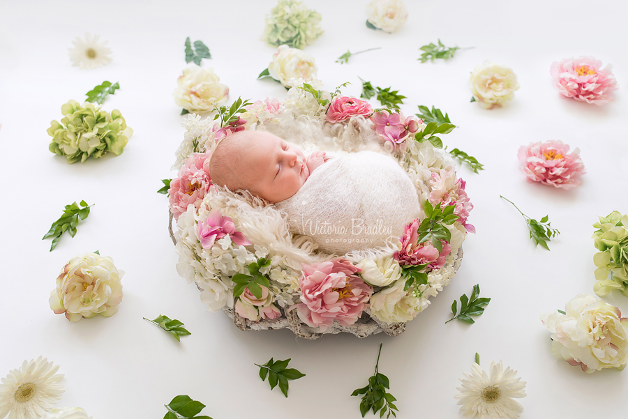 newborn baby girl photography in a flower nest 