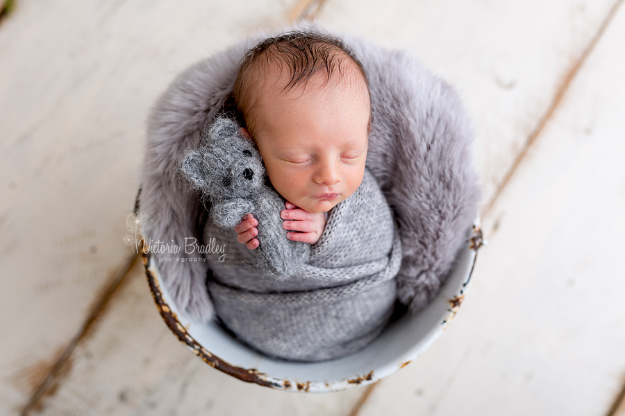 wrapped newborn baby boy photographer, grey wrapped and mini teddy in a white bucket