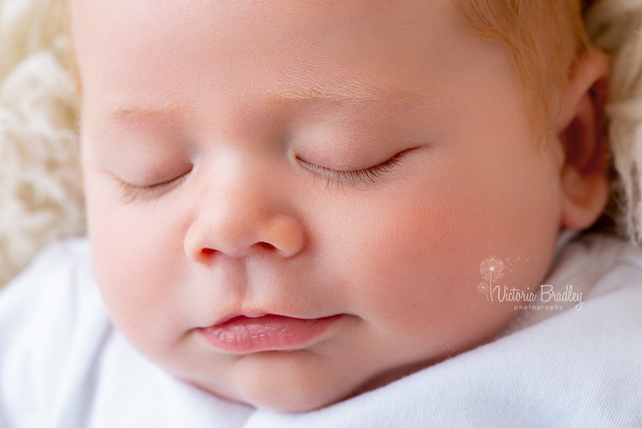 macro close up of newborn