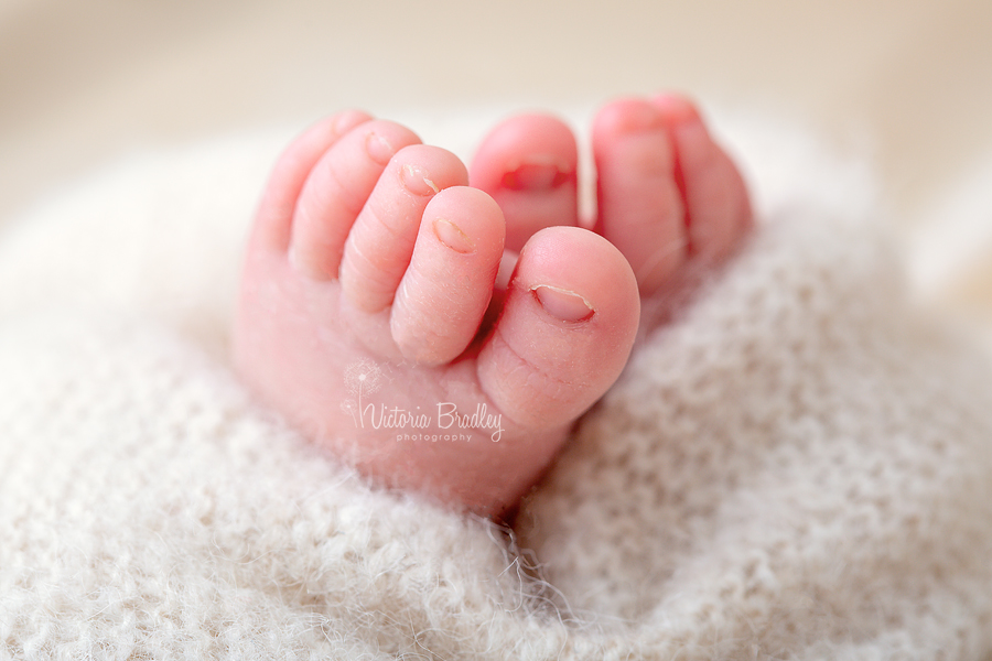 newborn baby toes during photography session