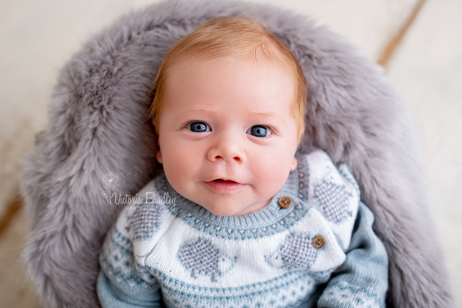 6 week old in grey hedgehog jumper