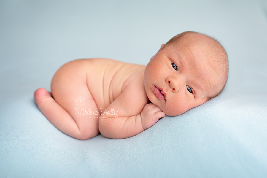 newborn photography, awake baby on blue blanket