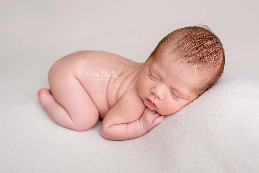 newborn boy on tummy on a cream backdrop