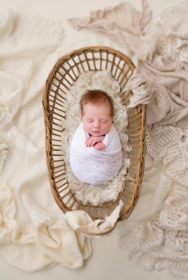 newborn in moses basket photography