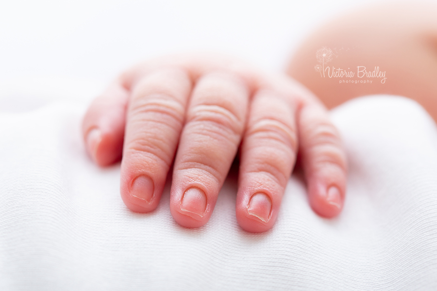 macro of baby fingers newborn photography