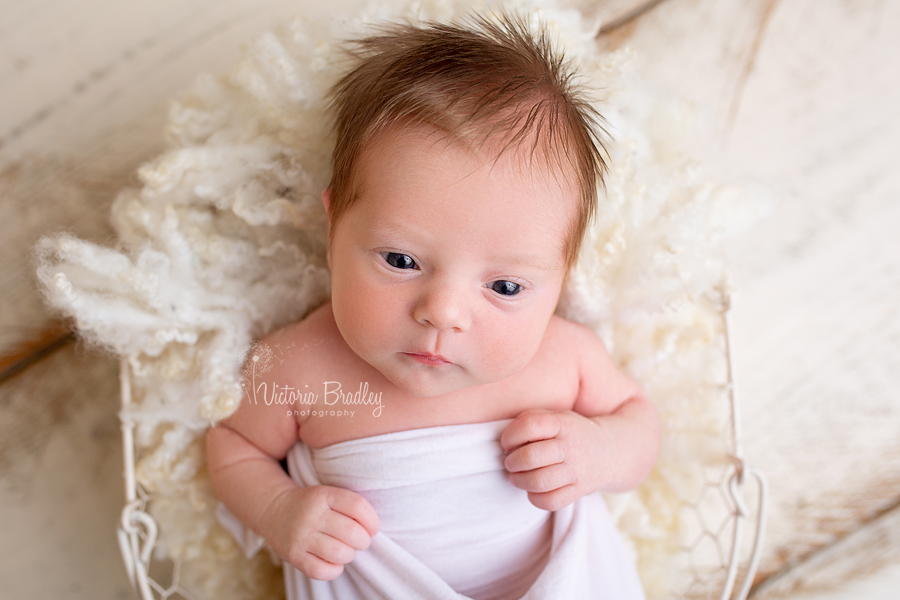 awake baby newborn photography
