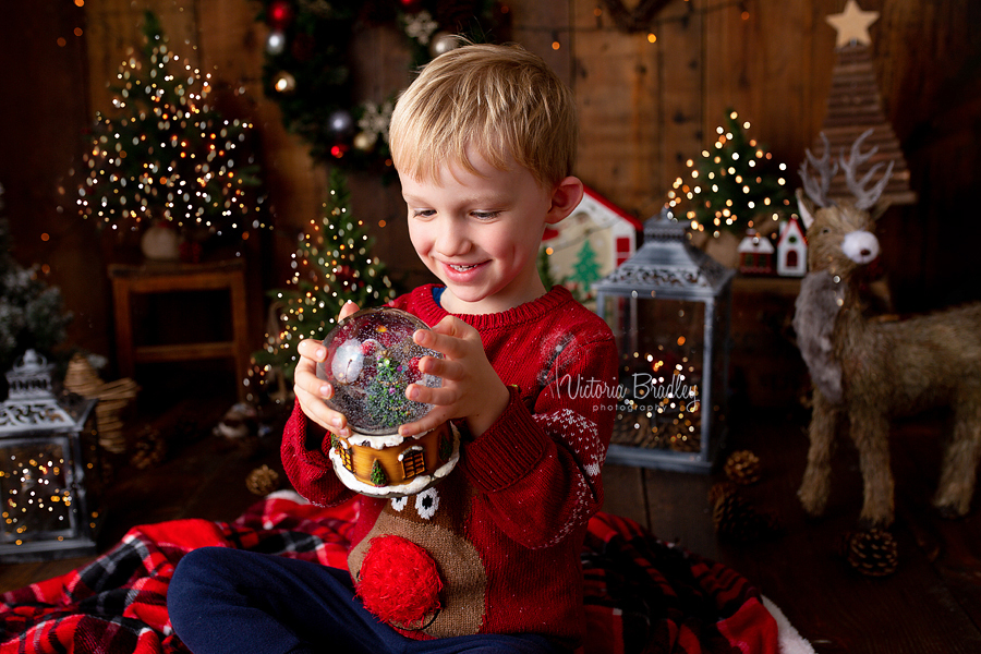 dark wood Christmas mini session set