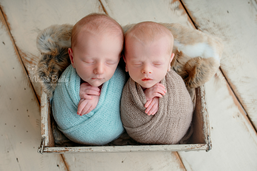 newborn baby twins boys photography