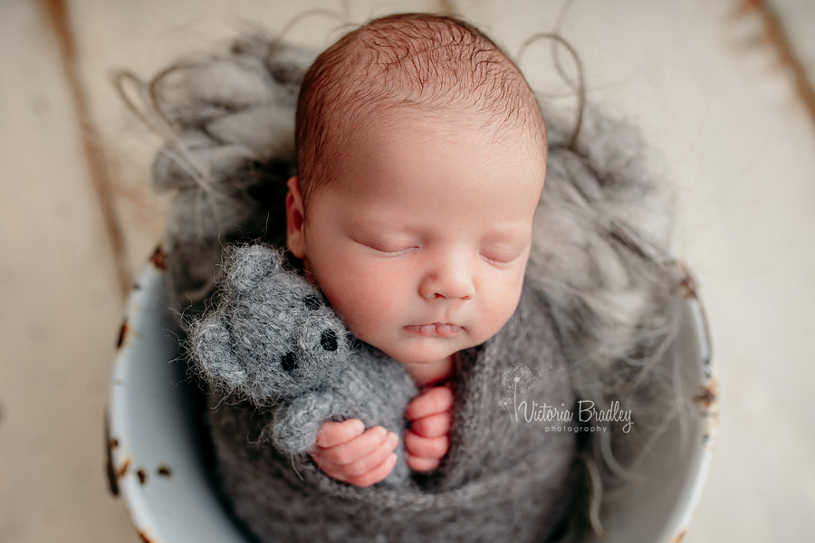 wrapped newborn baby photography, baby in bucket, with grey teddy and grey wrap on cream wooden floor