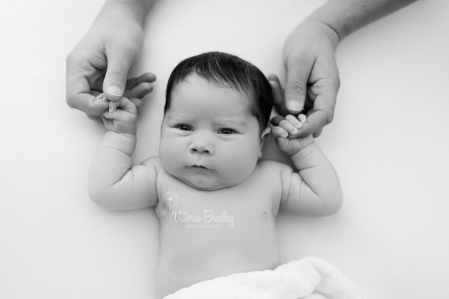 black and white newborn photography daddies hands