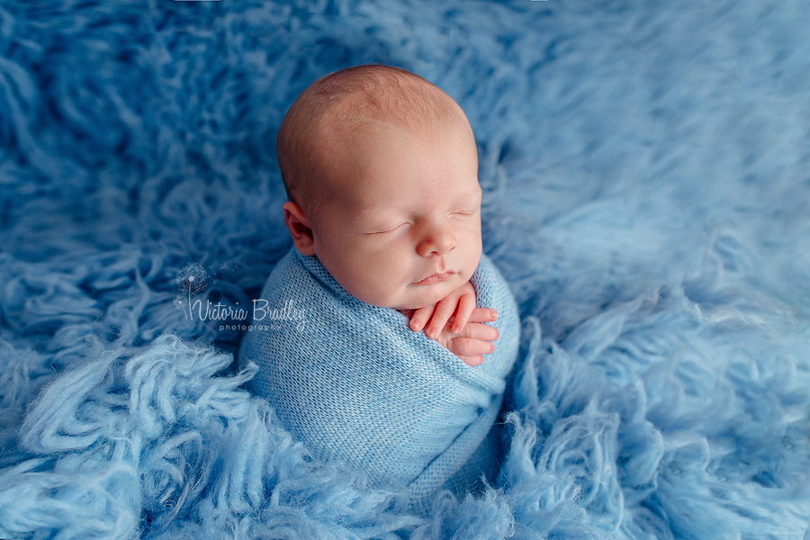 potato sack pose newborn on blue flokati