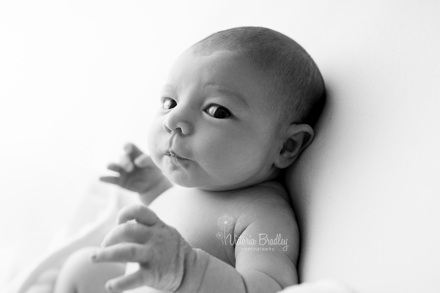 black and white baby images studio photography 