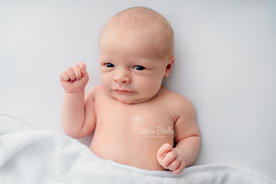 newborn on white backdrop