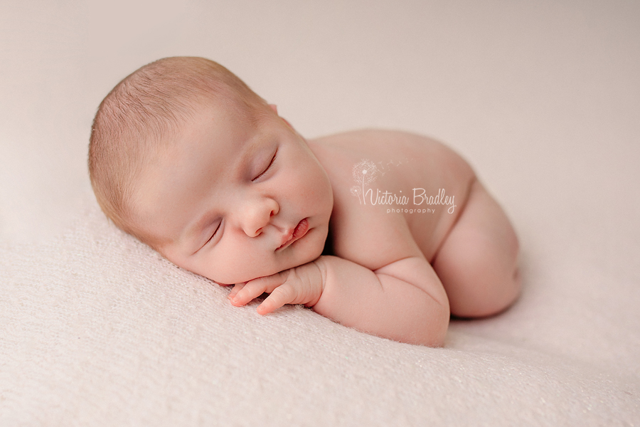 newborn on tummy pose photography