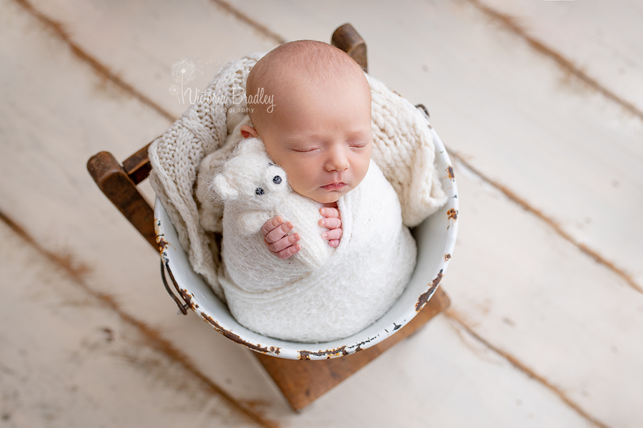 wrapped newborn photography mini session baby in bucket with white teddy