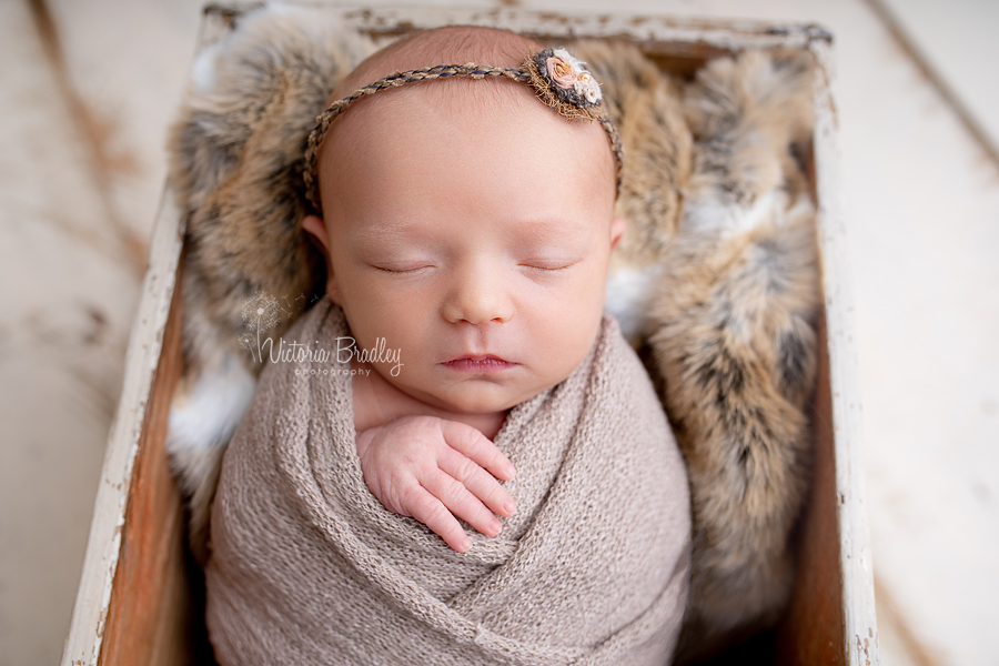 wrapped newborn mini session baby girl in taupe wrap with tie back