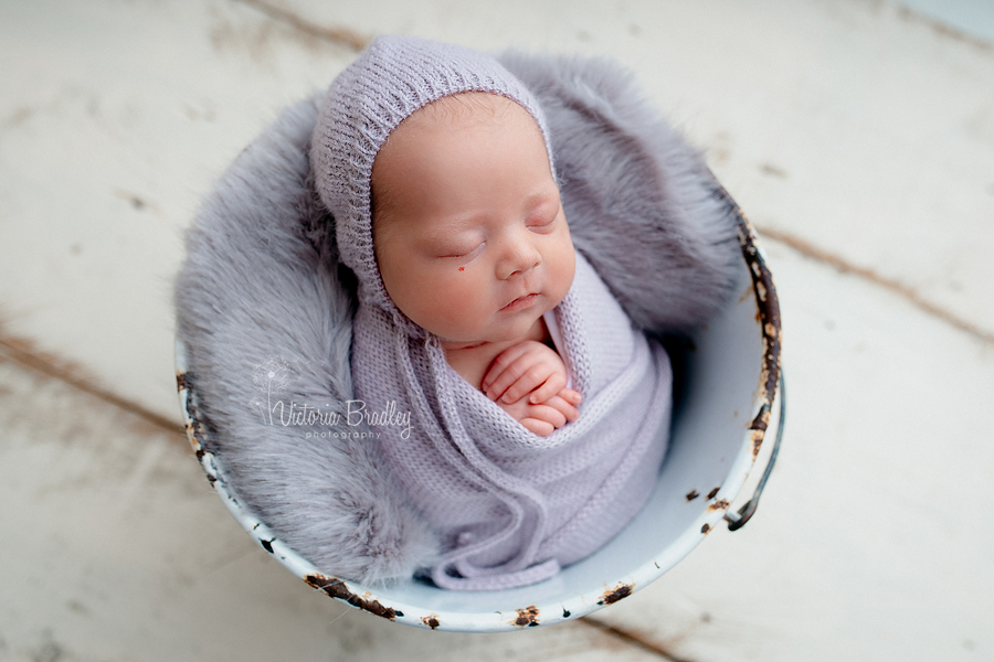 wrapped newborn photography lilac
