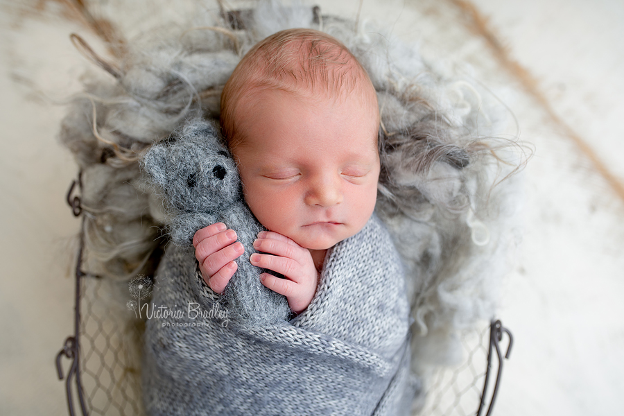 baby with small grey teddy