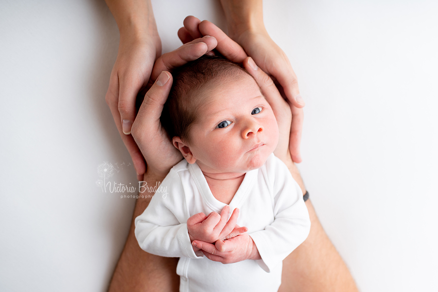 hands and babys head newborn photography 