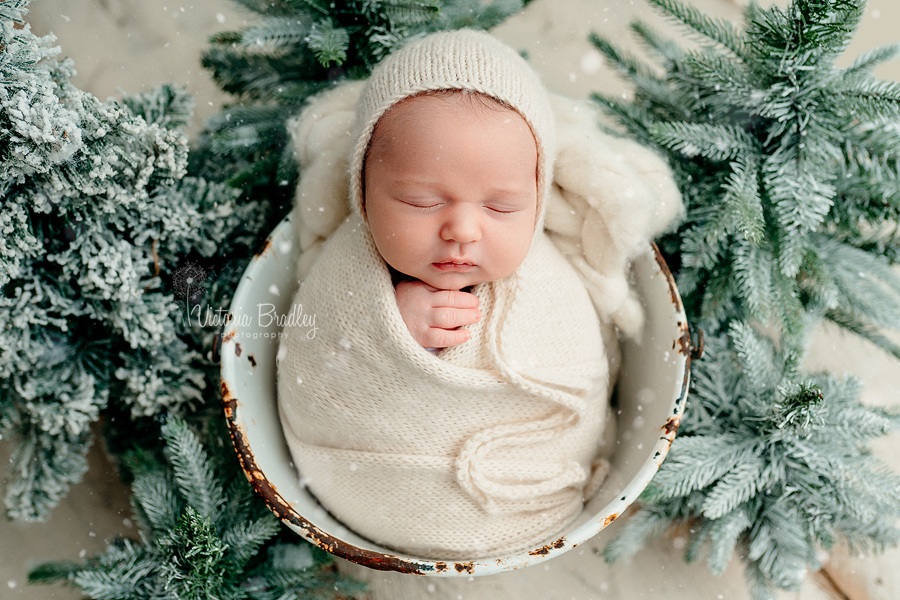 wrapped newborn with christmas trees