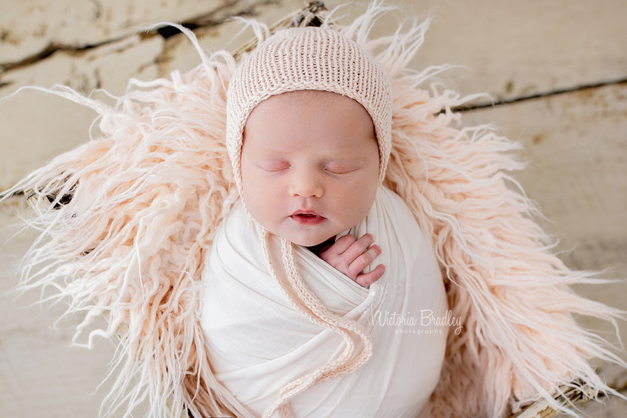 wrapped newborn in pinks 